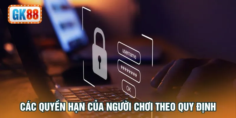 Các quyền hạn của người chơi theo quy định